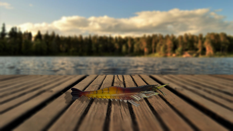 Discounted Fishing Soft Bait - Lures