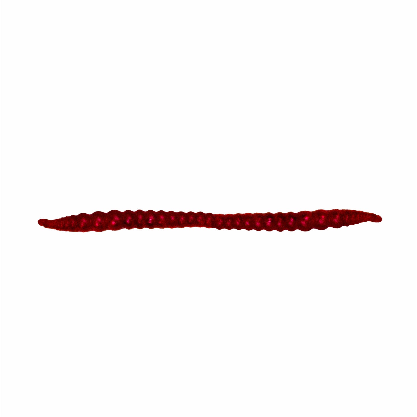 Fishing Depot Tiny Worm Lure, 1.4-in (x10)